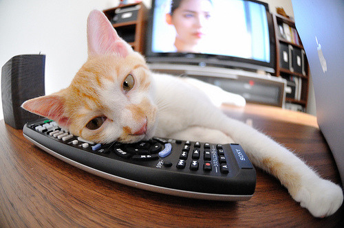 山西Loongs季后赛三连胜队史新高诞生，山西队首次进入季后赛