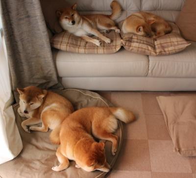 世界青少年篮球锦标赛中，巴西、俄罗斯、美国等强队硬碰硬，世界青少年联合运动会篮球